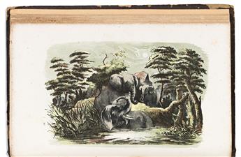 Webber, Charles Wilkins (1819-1856) The Hunter-Naturalist.                                                                                       